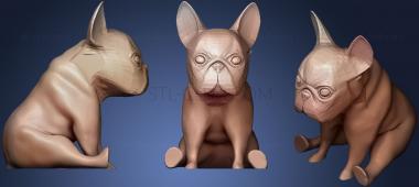 3D model French Bulldog (STL)